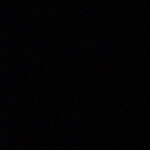 Meet your Posher, Delia